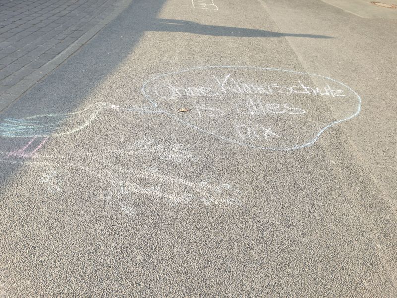 Ein asphaltierter Weg, auf dem mit Kreise ein Vogel aufgemalt ist und eine Sprechblase, in der steht: "Ohne Klimaschutz ist alles nix".