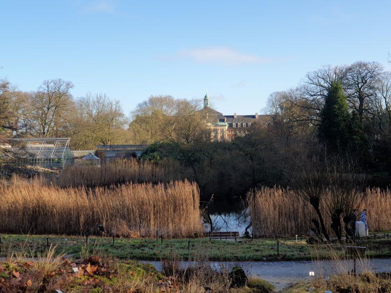Eine Parklandschaft mit Teich, Schilf, Bäumen und einem Schloss im Hintergrund.